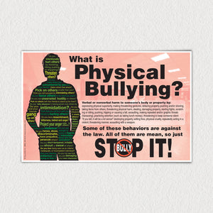 What is Physical Bullying? poster. This poster can be purchased seperately.