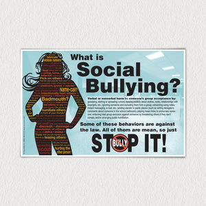 What is Social Bullying? poster. This poster can be purchased seperately.